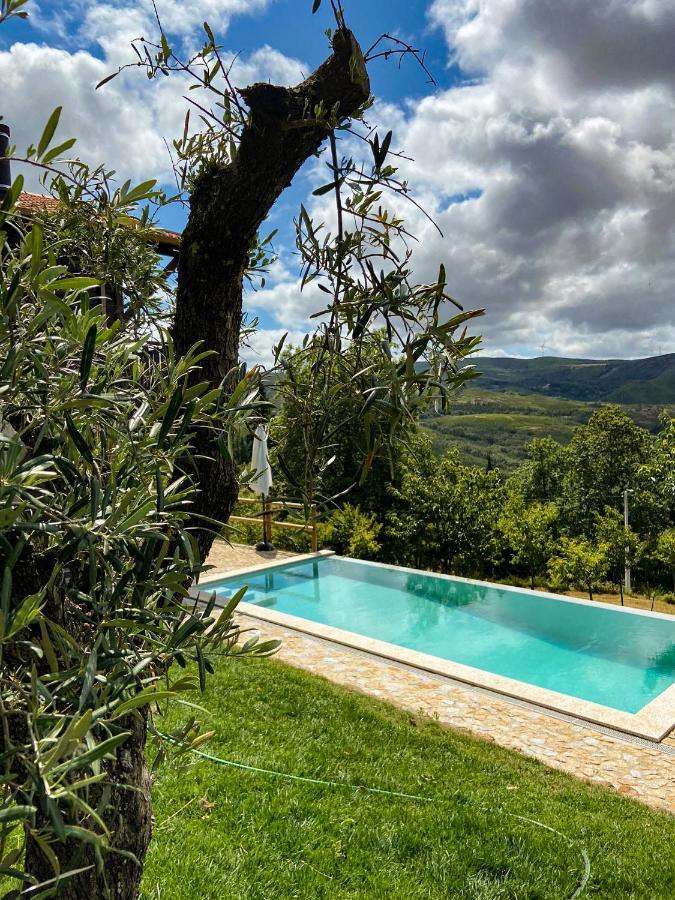 Quinta Outono Dourado Vila Montalegre Exterior foto