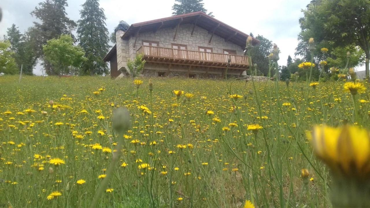 Quinta Outono Dourado Vila Montalegre Exterior foto