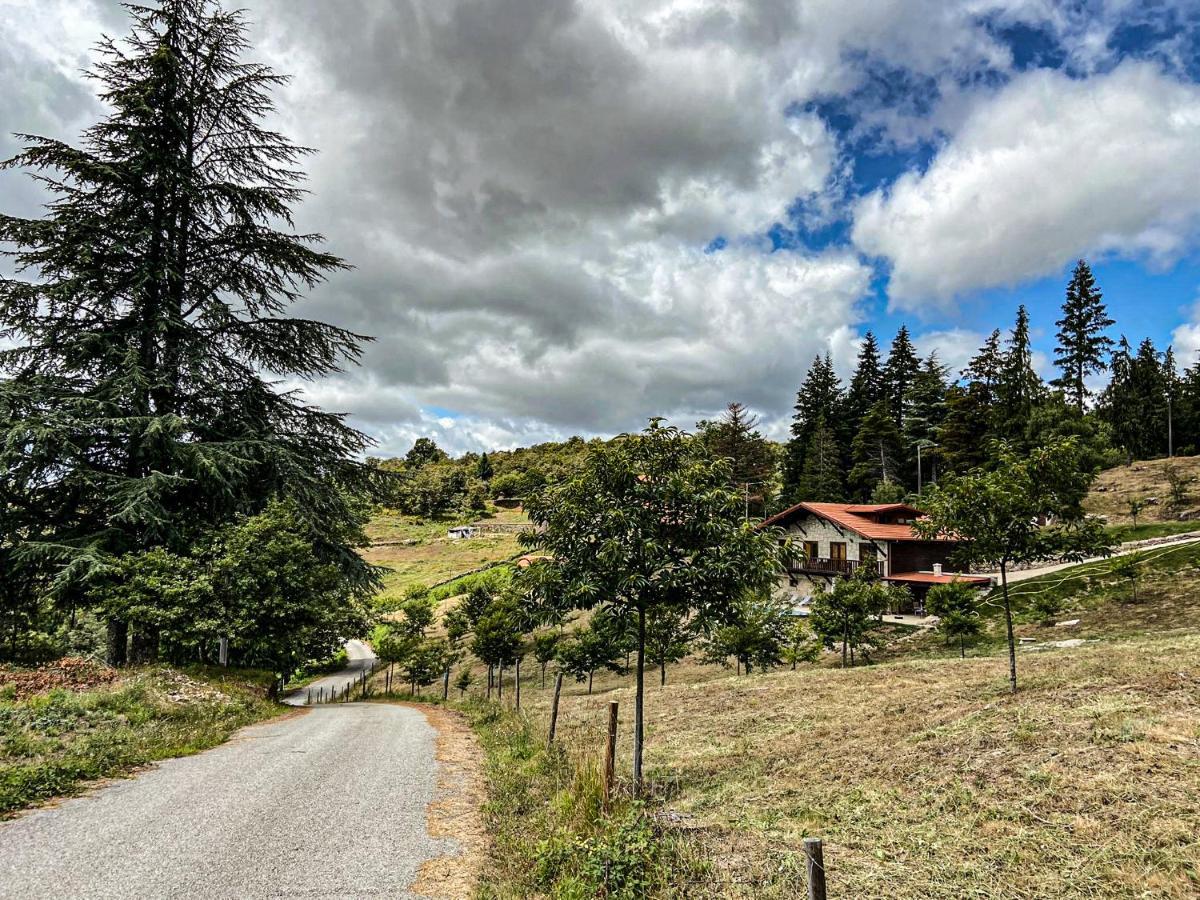 Quinta Outono Dourado Vila Montalegre Exterior foto